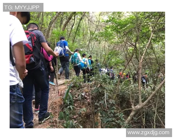 聚焦CSGO：WE战队在耐力挑战中的表现与未来展望